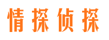 略阳侦探公司